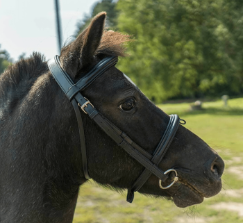 Premium Black Leather English Snaffle Bridle