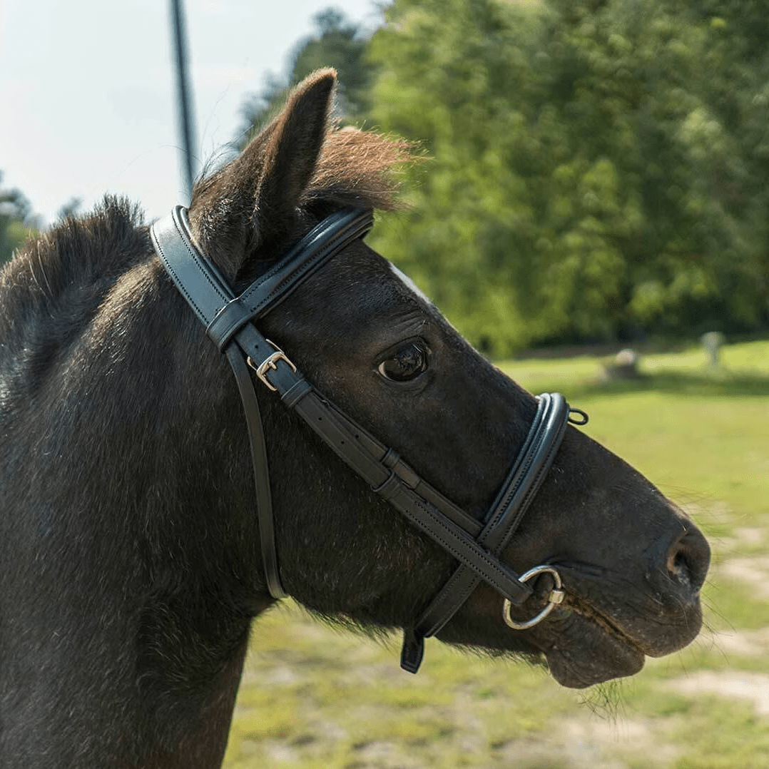 Premium Black Leather English Snaffle Bridle