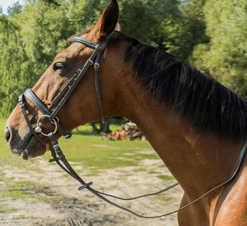 Premium Brown Leather Bridle Loop Reins