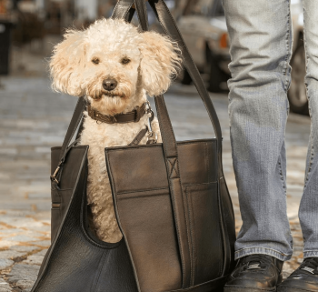 Premium Black Leather Pet Carrier Bag