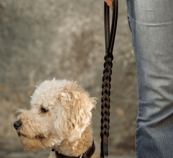Premium Leather Traffic Dog Leash – Short Control Lead